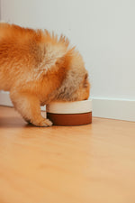 MEALS for DOGS